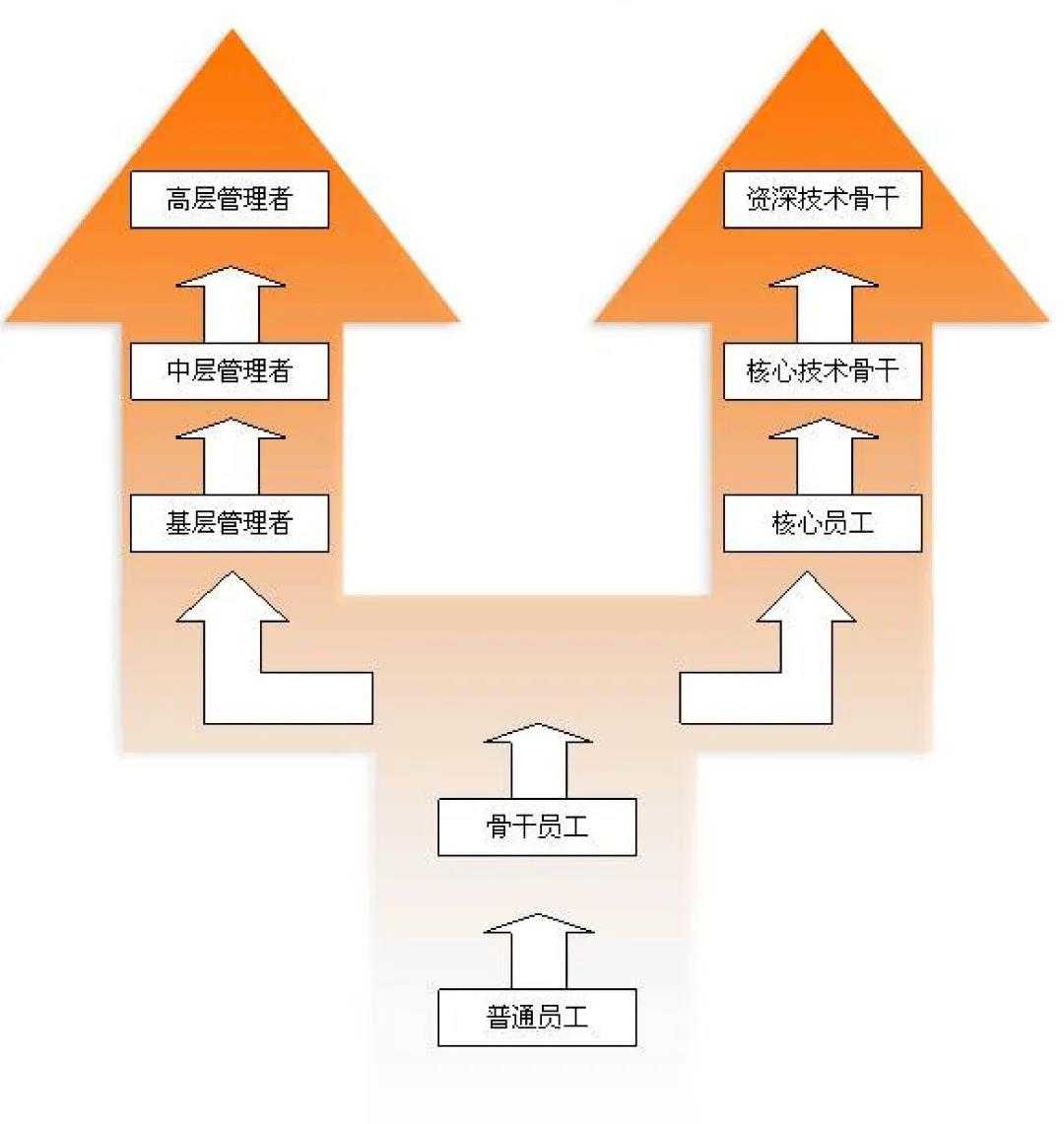 (全國)格林生態丨