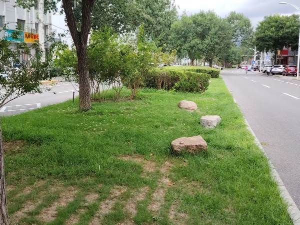 關于開展2025年北京延慶“花園城市”設計競賽的通知