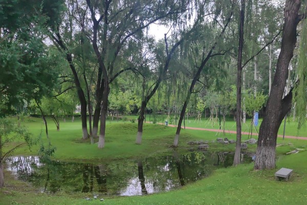 關于開展2025年北京延慶“花園城市”設計競賽的通知