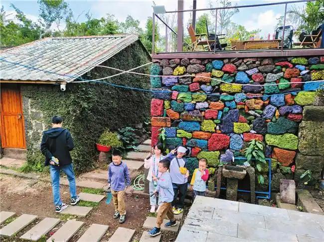 海南“村游”緣何別樣紅？